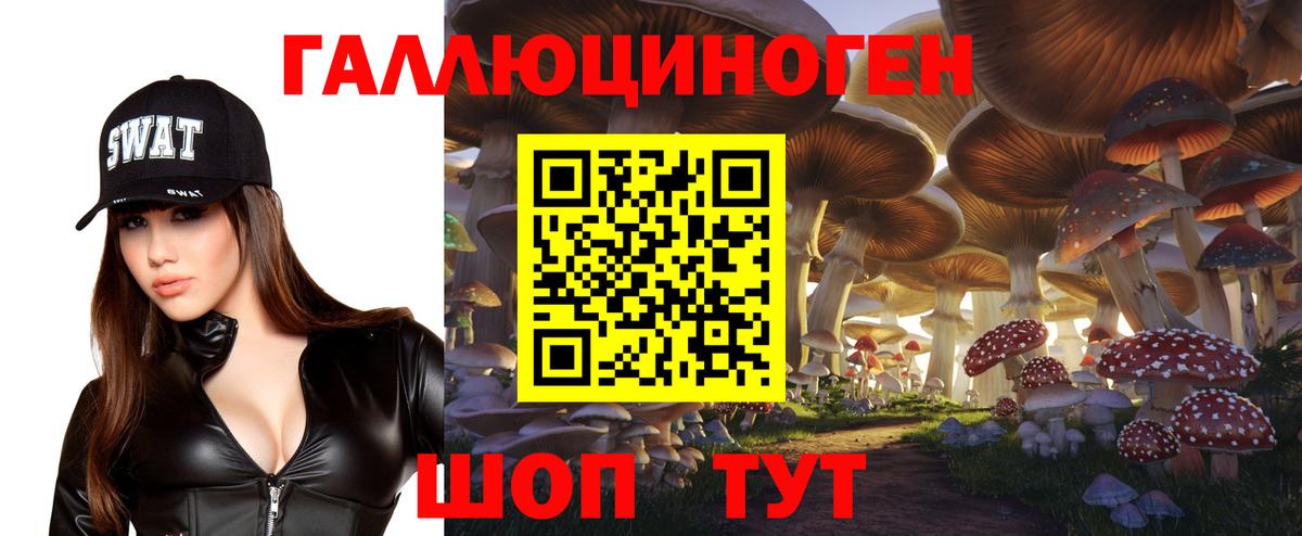 Новошахтинск  Псилоцибиновые грибы GOLDEN TEACHER  Псилоцибиновые грибы Psilocybe  Вход с VPN 